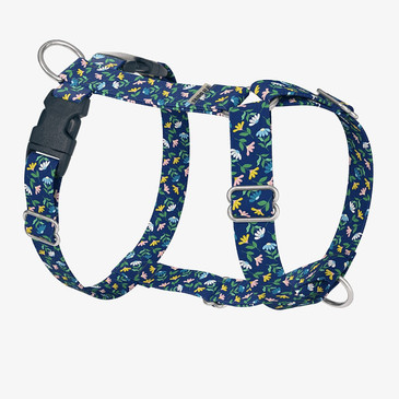 front view of harness front view of harness